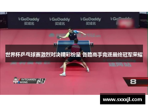 世界杯乒乓球赛激烈对决精彩纷呈 各路高手竞逐最终冠军荣耀