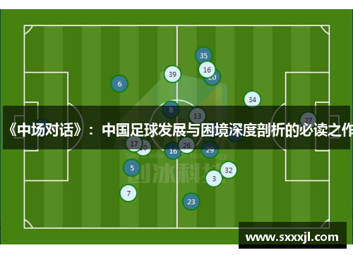 《中场对话》：中国足球发展与困境深度剖析的必读之作