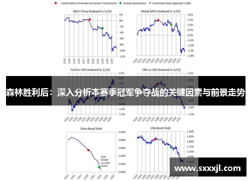 森林胜利后：深入分析本赛季冠军争夺战的关键因素与前景走势