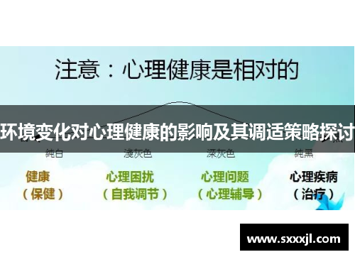 环境变化对心理健康的影响及其调适策略探讨