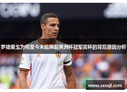 罗德里戈为何至今未能捧起美洲杯冠军奖杯的背后原因分析