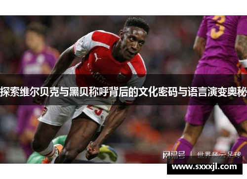 探索维尔贝克与黑贝称呼背后的文化密码与语言演变奥秘