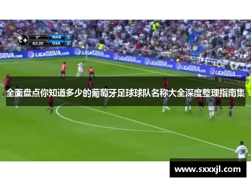 全面盘点你知道多少的葡萄牙足球球队名称大全深度整理指南集 全面盘点你知道多少的葡萄牙足球球队名称大全深度整理指南集