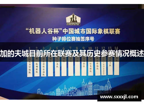 加的夫城目前所在联赛及其历史参赛情况概述 加的夫城目前所在联赛及其历史参赛情况概述