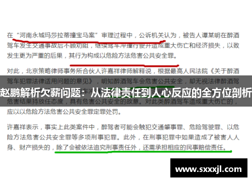 赵鹏解析欠薪问题：从法律责任到人心反应的全方位剖析